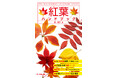 紅葉に親しみたいすべての人の要望にお応えします!ハンディサイズの本格紅葉図鑑、好評発売中!