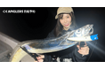 【夏休みの“釣り”動向調査】猛暑の影響もあり「夜釣りプラン」が人気18時以降のナイトゲームの予約が約2倍に増加!今夏の人気魚種はマダコ・イカ、人気エリアBest3は兵庫・福岡・愛知