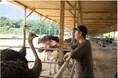 【次世代たんぱく源・ダチョウ肉の健康効果】吉野家ホールディングス、SPEEDIAオーストリッチミート(ダチョウ肉)の疲労軽減や血管老化防止の可能性を示す新研究成果を発表