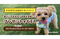 【世界犬の日 (8月26日)】 愛犬とのおでかけ写真投稿でプレゼントが当たるチャンス!「#うちの子とお出かけ」キャンペーンを開催