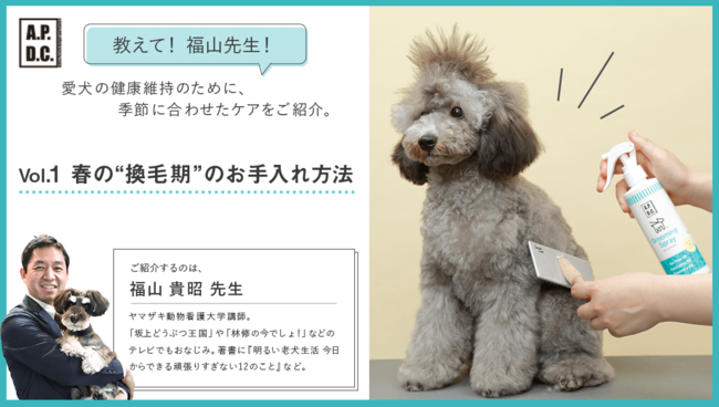 動物tv番組でおなじみ 福山貴昭先生が教える 犬のお手入れ動画を無料公開 株式会社たかくら新産業のプレスリリース
