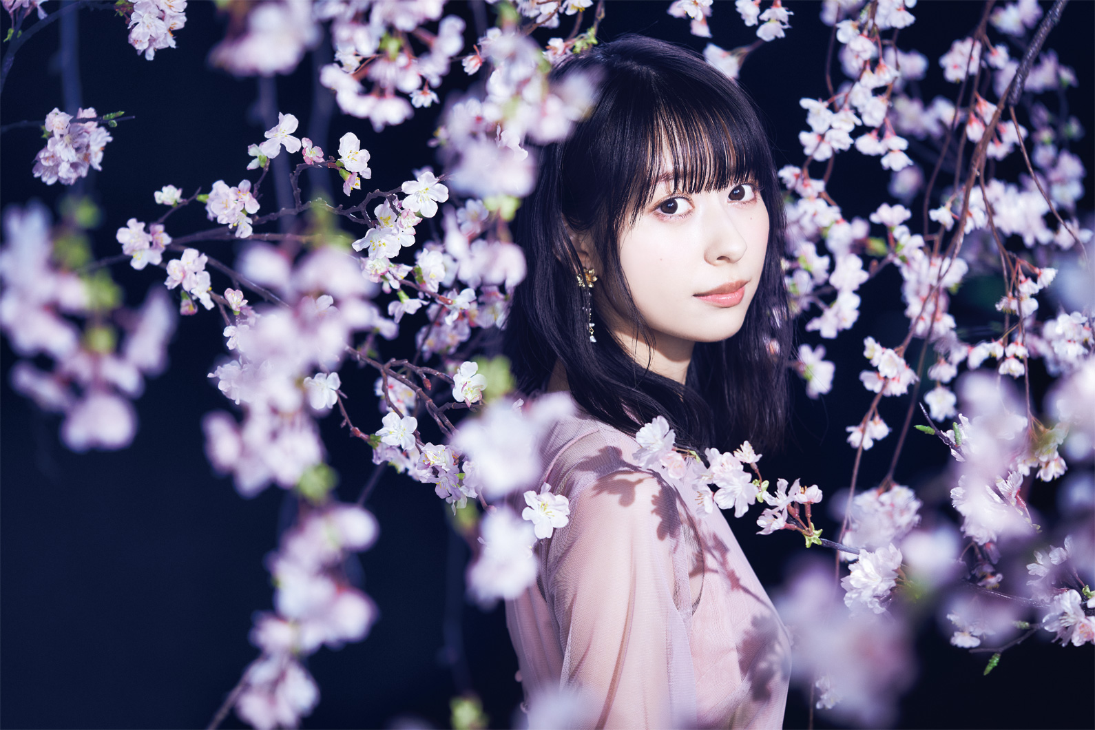 声優 近藤玲奈デビューシングル 桜舞い散る 夜に 本日発売 デジタル配信キャンペーンがスタート 時より発売記念の生配信特番が放送 日本コロムビア株式会社のプレスリリース