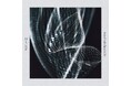 9mm Parabellum Bullet、本日7月25日(金)配信「踊る星屑」ミュージックビデオを公開!