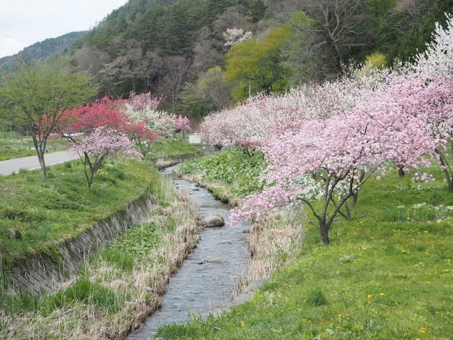 水と自然が豊かな木祖村の風景