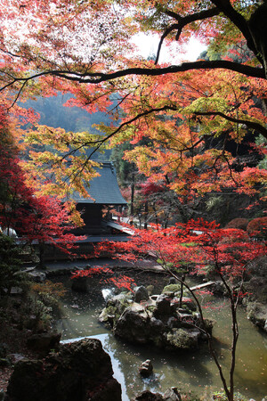 紅葉が美しい内々(うつつ)神社