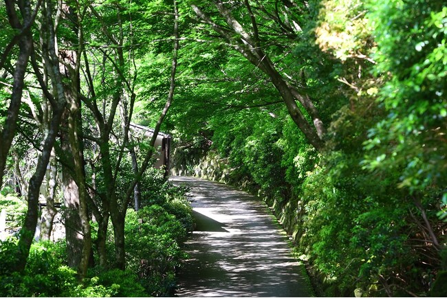 隣接する散策路