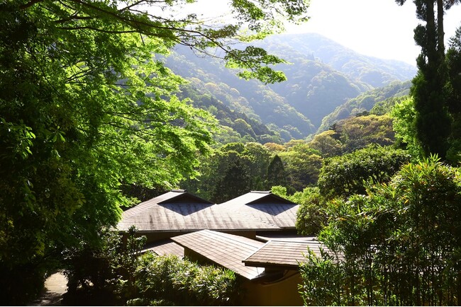 新緑に染まる外輪山