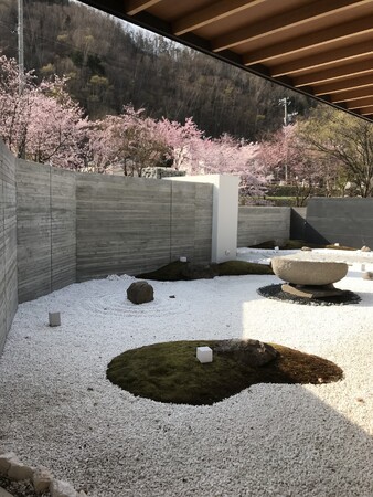 中庭からの桜イメージ