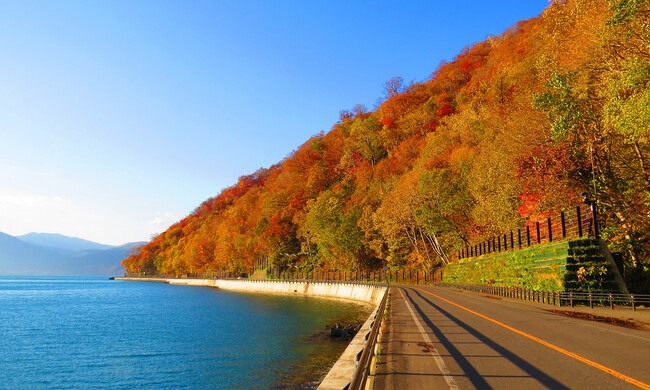 ドライブしながら支笏湖の紅葉を楽しむ！