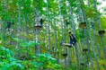 【北海道・北湯沢温泉/きたゆざわ森のソラニワ】野外アドベンチャーパーク「ムササビ」修繕工事による営業一時停止のお知らせ