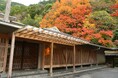 【奥湯河原温泉 海石榴つばき】10月限定企画「月見の会◇芸術鑑賞付きプラン」販売開始