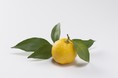 冬至を愉しむ日本の季節湯　　　12月はからだの芯から温まる「ゆず湯」を堪能