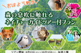 【北海道・層雲峡温泉】＼おはよう散歩／シマエナガにも出会えるかも？！自然の見どころや観察ポイントを教えてもらえるネイチャーガイド付きプラン
