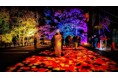 【北海道／層雲峡】夜は紅葉が灯りに染まる――日本一早い紅葉の名所・層雲峡温泉で楽しむ「奇跡のイルミネート」