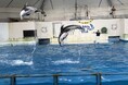 【登別石水亭】キッズが主役！2大プランをご紹介！！
