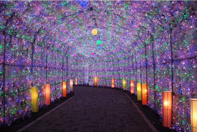 40万球の電飾で彩られたイルミネーショントンネル
