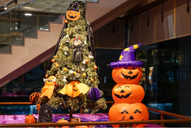 マントと帽子でツリーもハロウィン気分