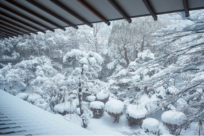 雪の松岡庭園も秋とは違う魅力