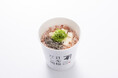 シンプルながらも奥深い、初夏にぴったりな一杯。 「豆腐塩昆布のせかつぶしめし」 「日本橋だし場 本店」にて6月1日より限定販売