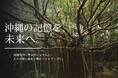 【南都グループ周年事業】沖縄各地のガジュマルと人々の記憶を一冊に。フォトブック制作に向けクラウドファンディング開始