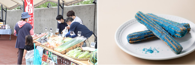 (左)松茂町での「マツシゲートマルシェ」の様子/(右)「松茂町・チュチュチュロスカフェのグルテンフリー藍チュロス」※写真はイメージです (左)松茂町での「マツシゲートマルシェ」の様子/(右)「松茂町・チュチュチュロスカフェのグルテンフリー藍チュロス」※写真はイメージです