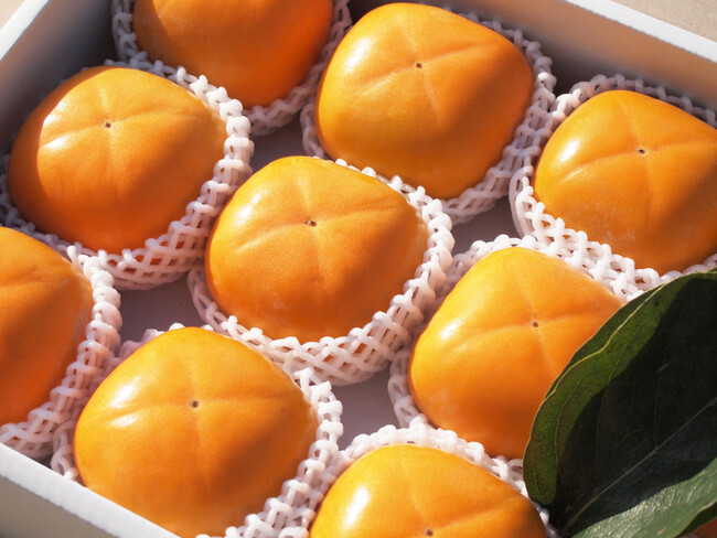 ※写真イメージです ※写真イメージです