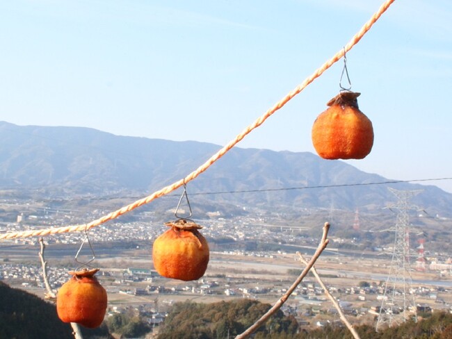 ※写真はイメージです ※写真はイメージです