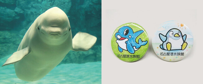 ※写真はイメージです