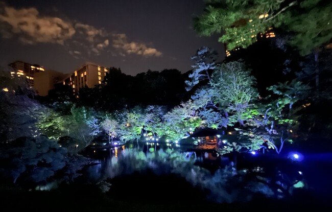 ※写真はイメージです