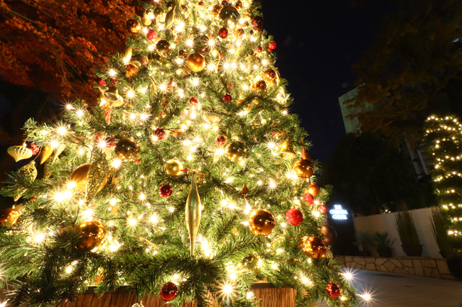 家族でみんなで歌って 踊って 作って遊ぼう 八芳園ファミリークリスマス 17 八芳園のプレスリリース