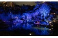 庭園が青に染まるライトアップ『TOKYO BLUE GARDEN 2024-2025』12/21〜1/31開催!クリスマス期間は『HAPPO-EN CHRISTMAS 2024』を開催