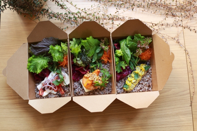 雑穀米と3種類のデリとメイン（野菜・魚・肉）からなるベジボックス
