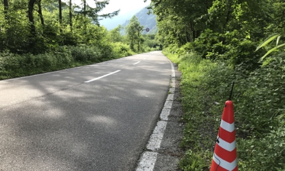 D19590 31 554364 2