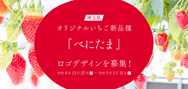 埼玉県では、令和3年4月に品種登録出願した県オリジナルいちご「べに