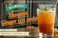 夏本番前の熱中症対策！梅雨の「暑熱順化リセット」に医師推奨の飲む暑熱順化！生姜約3.9個分の“摂るサウナ”ショウガオールが摂れるジンジャーティーソーダをBrooklyn Ribbon Friesが販売