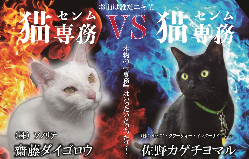 猫の日 コラボレーション企画 猫専務対決 どちらが真の専務か 株式会社ソノリテのプレスリリース