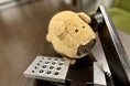 ぬいぐるみが会社で働く!?都内IT企業の「ぬいぐるみインターン」が話題に