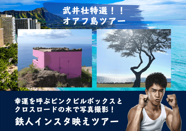 タビナカ社 武井壮特選 ハワイ西オアフ観光鉄人インスタ映えツアーの申込受付を開始 株式会社fun Groupのプレスリリース