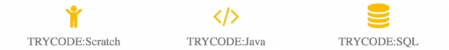 TRYCODE コース