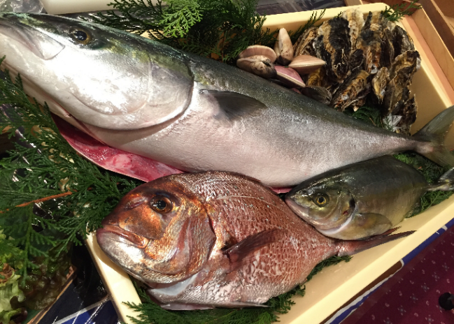 楽しく 美味しく 魚職人に教わる魚のさばき方 お寿司の握り方 体験型イベントサービスのスタート 野原ホールディングスのプレスリリース