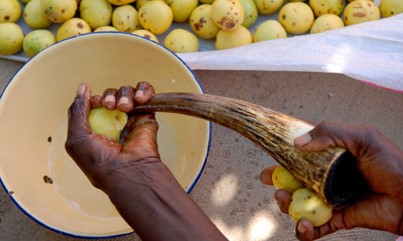 ENRICHED WITH COMMUNITY TRADE MARULA OIL