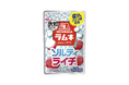 夏場のアクティブシーンにうれしい塩分＆クエン酸配合 「大粒ラムネ＜ソルティライチ＞」6月9日（火）より新発売