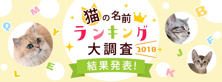 猫の名前ランキング調査18 モモ が1位を奪還 アイリスオーヤマ株式会社のプレスリリース