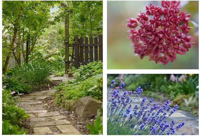 自然に囲まれた 季節 を感じられるお庭が人気１位 素敵なお庭総選挙 アイリスオーヤマ株式会社のプレスリリース