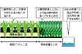 マイクロプラスチックの流出による海洋汚染を抑制 法人向け新商品「環境配慮型人工芝」を宮城県・松島フットボールセンターに導入