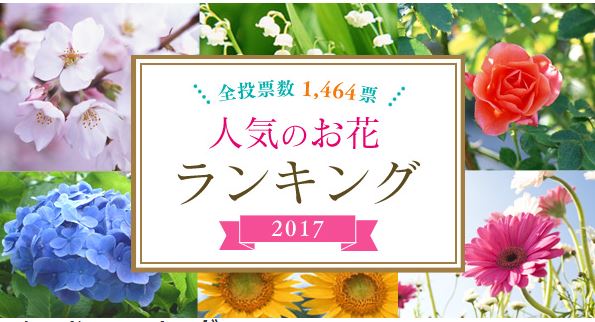 人気のお花ランキング17 アイリスオーヤマ株式会社のプレスリリース