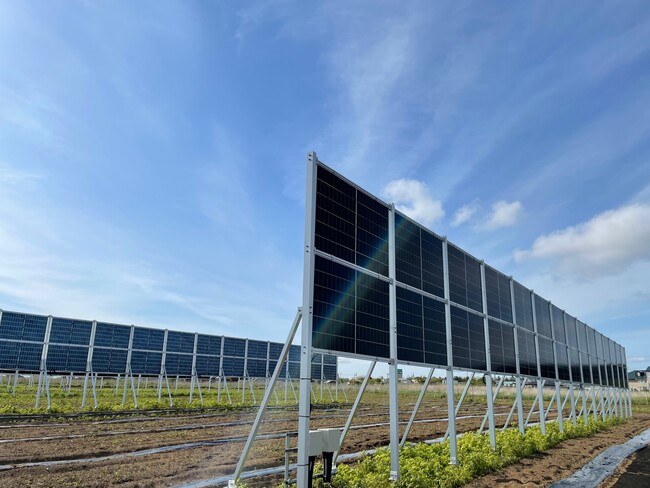 ※上記は「ゼロカーボンHADO」実現に向け、電力供給した太陽光発電所です。