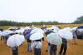【鳥取砂丘マッチングイベント2025】大雨の中108名参加!リアル×オンラインの融合で806件の「いいね」が飛び交い28組カップル成立!