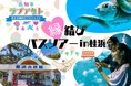 【今注目のバスツアー】旅×出会いで理想の相手が見つかる！申込者急増の「ハピネスツアー」が婚活情報サイト オミカレで掲載スタート！