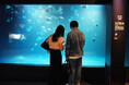 【9/6イベント開催報告】夜の水族館を舞台にした恋活イベント「Night Aquarium 2026 in アクアマリンふくしま」